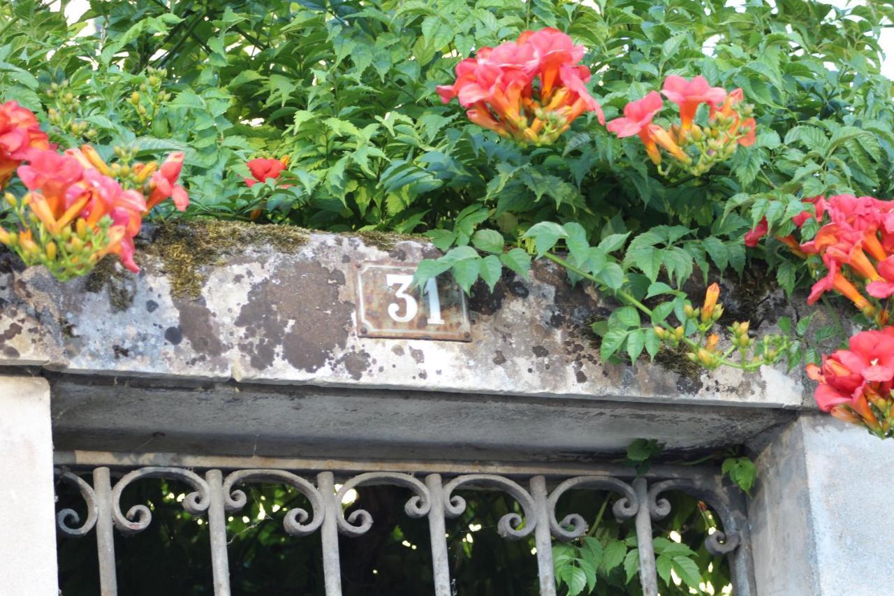 Hotel 31 Rive Gauche Saint-Aignan  Exteriér fotografie